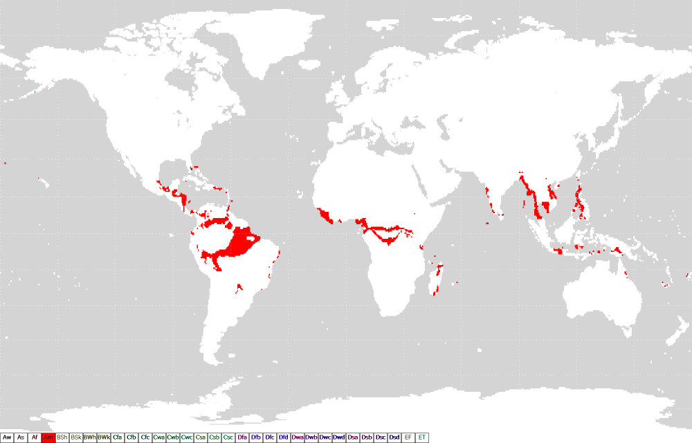 Koppen_classification_worldmap_Am.png