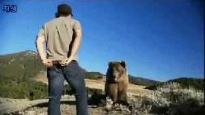 긔여운 곰돌이 찡.GIF
