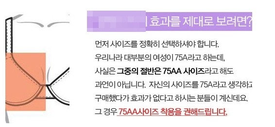 속옷 쇼핑몰의 돌직구.jpg