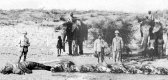 독신자 호랑이2.jpg