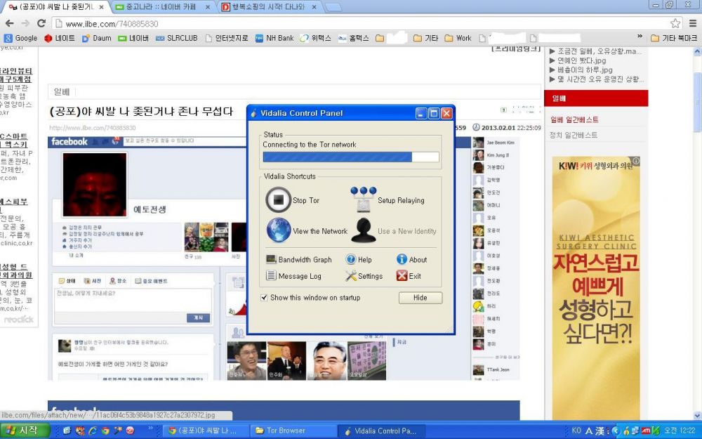 날아오르라주작이여1.JPG