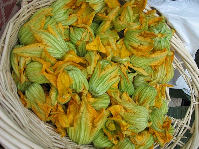 zucchini-flower-squash-blossom-basket.jpg