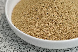 2008_09_26-amaranth.jpg