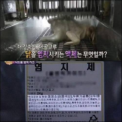 염지제.jpg