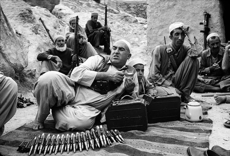 다운로드 (7).jpg