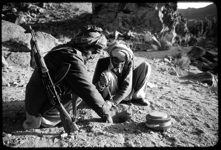 다운로드 (2).jpg