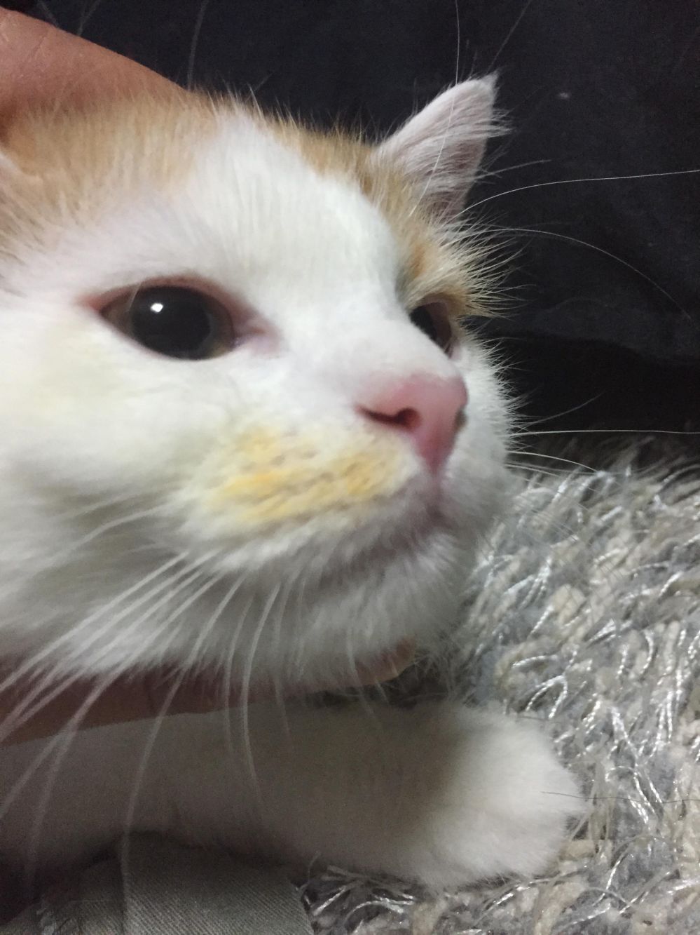 image.jpg
