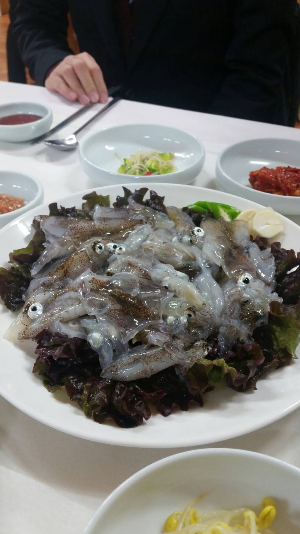 2016-02-03 19.30.36.jpg