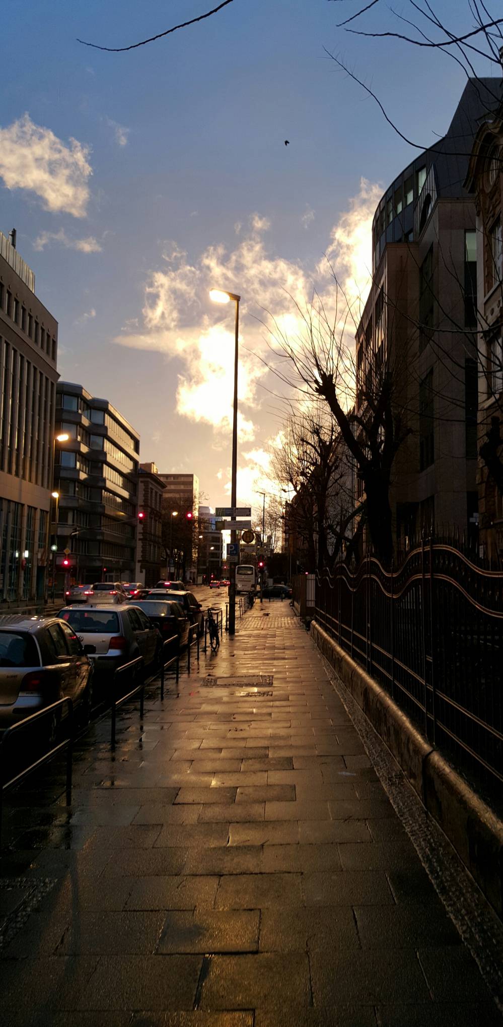 20160209_172043-1.jpg