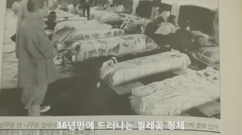 518 찔레꽃의 의미 16.jpg