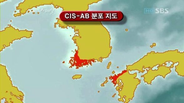 cisab.jpg