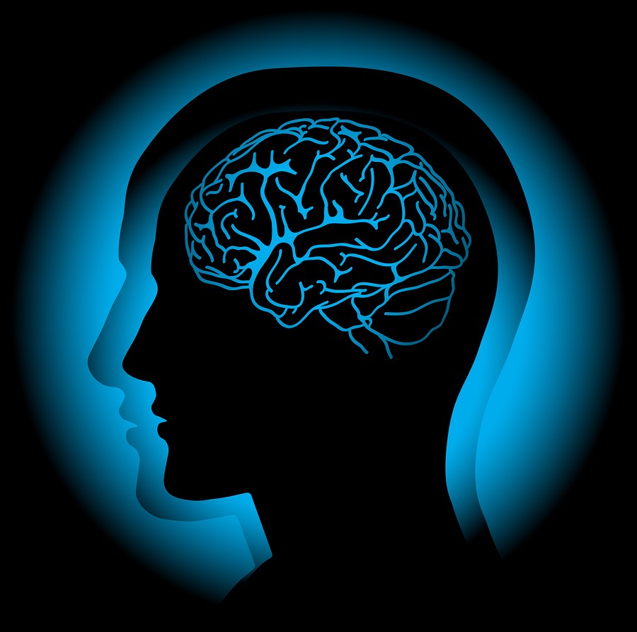 Brain-1.jpg