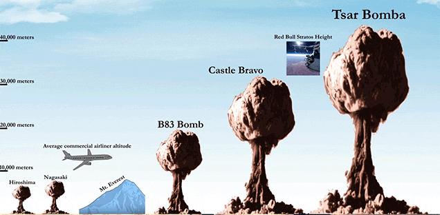 1492004671425.GIF