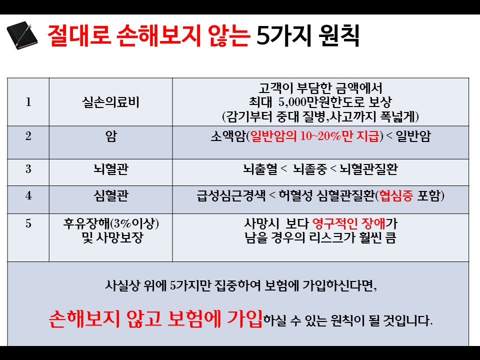 손해보~1.JPG