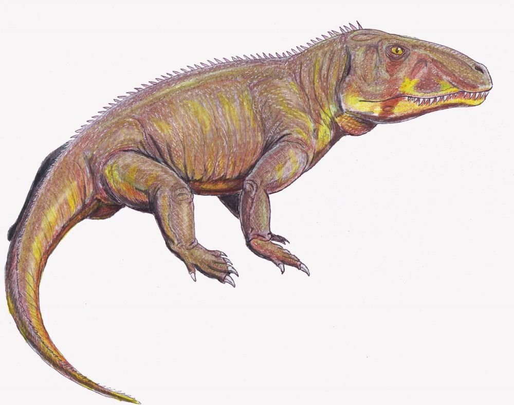 Shansisuchus 1.jpg