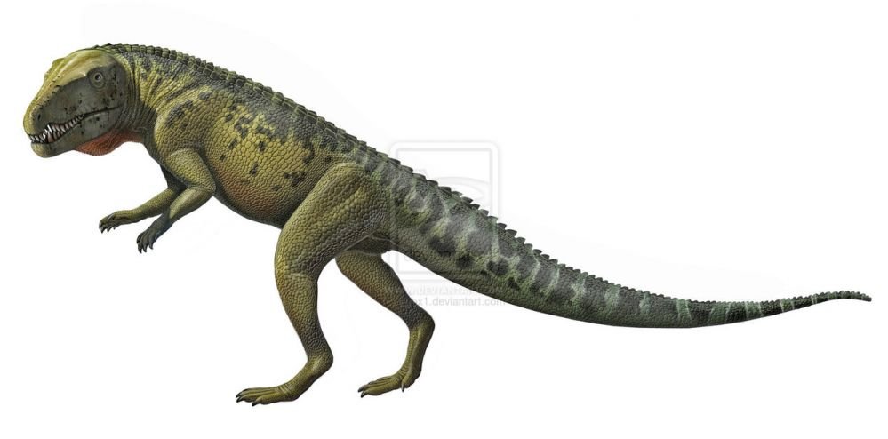 Ornithosuchus 1.jpg