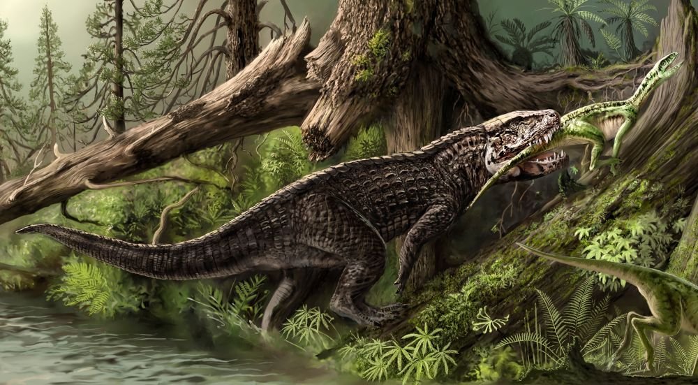 postosuchus 2.jpg