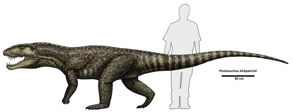 Postosuchus 1.jpg