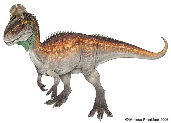Cryolophosaurus 1.jpg