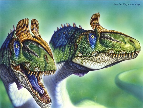 Cryolophosaurus 2.jpg