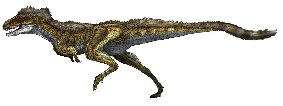 Raptorex 1.jpg