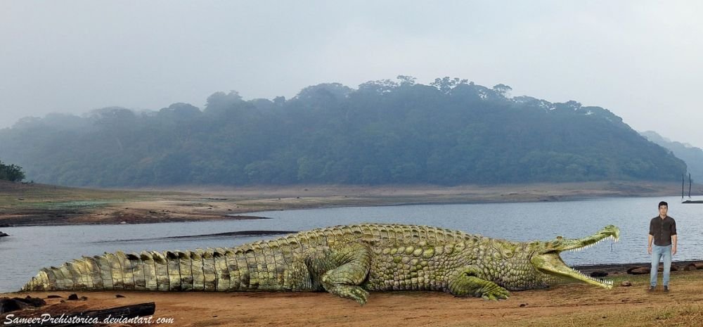 Sarcosuchus 1.jpg