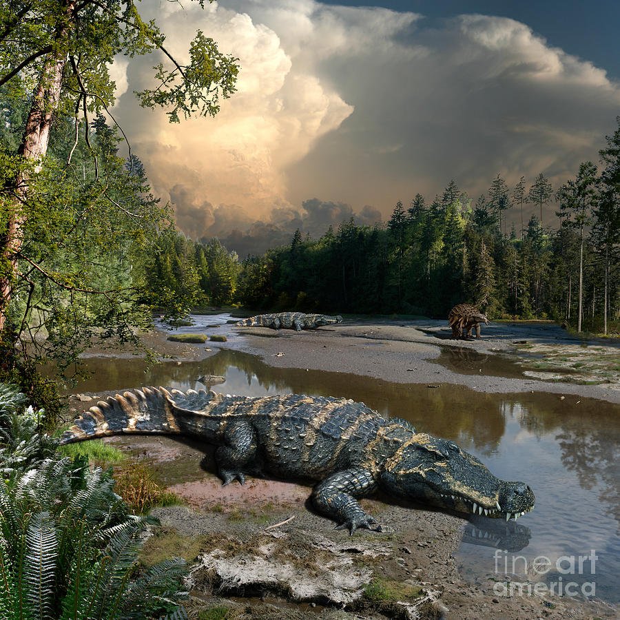 Deinosuchus 2.jpg