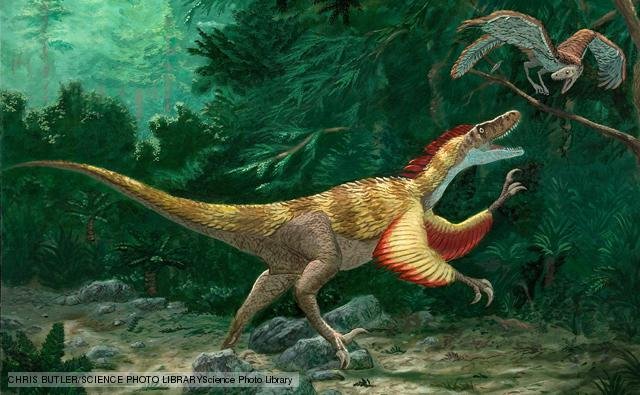 velociraptor 1.jpg