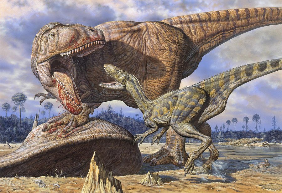 carcharodontosaurus 1.jpg