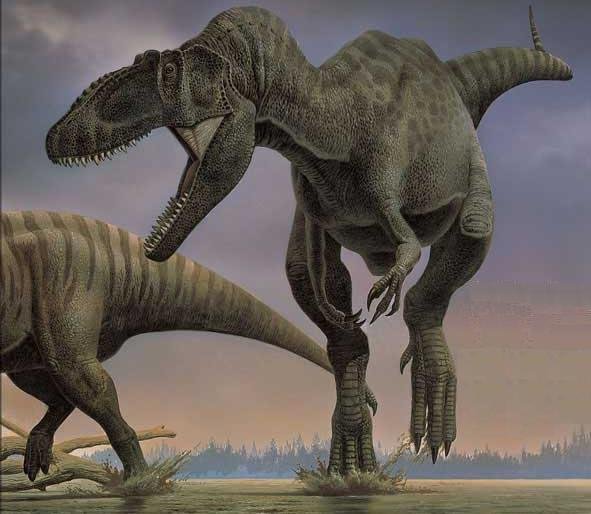 Carcharodontosaurus 2.jpg