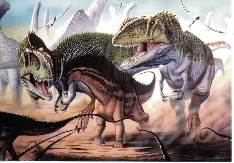 Giganotosaurus 2.jpg