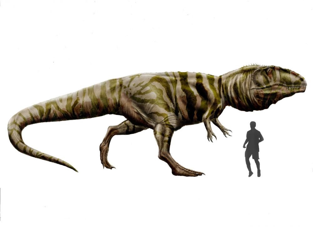 Giganotosaurus  1.jpg
