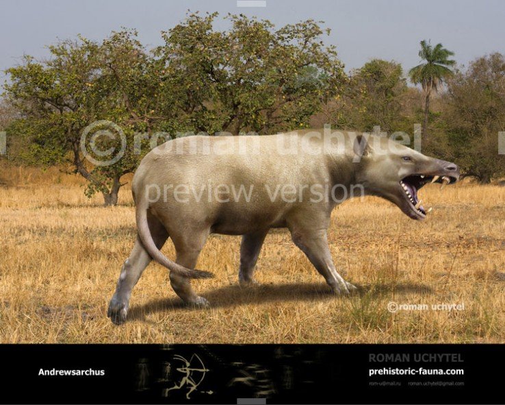 Andrewsarchus 2.jpg