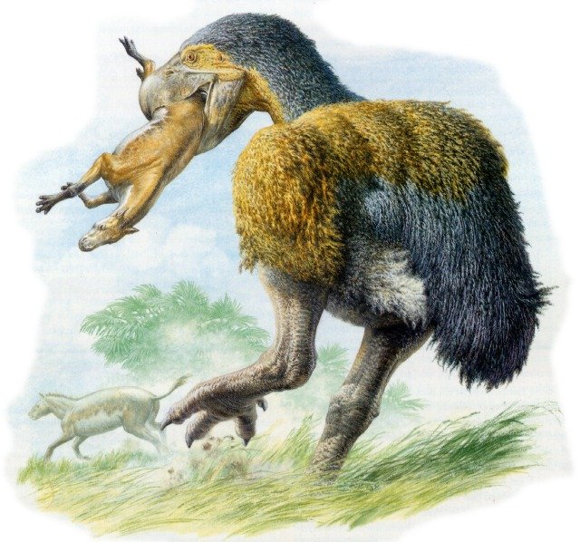 Gastornis 1.jpg