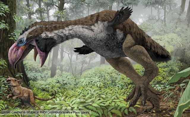 Gastornis 2.jpg