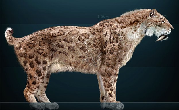 smilodon 1.jpg