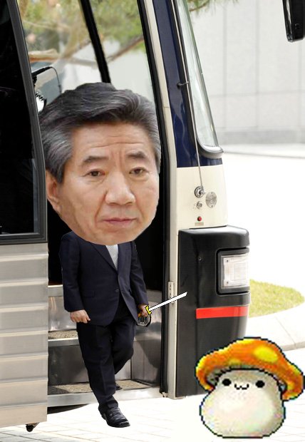 노이플스토리.png