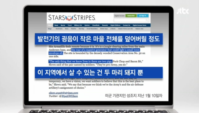 돼지 두 마리뿐.PNG